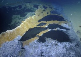 Inside the ‘Jacuzzi of Death’ where anything that DARES enter will be killed & left to disintegrate in toxic waters