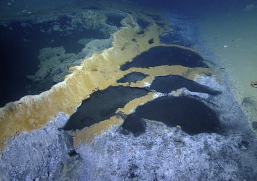 Inside the ‘Jacuzzi of Death’ where anything that DARES enter will be killed & left to disintegrate in toxic waters