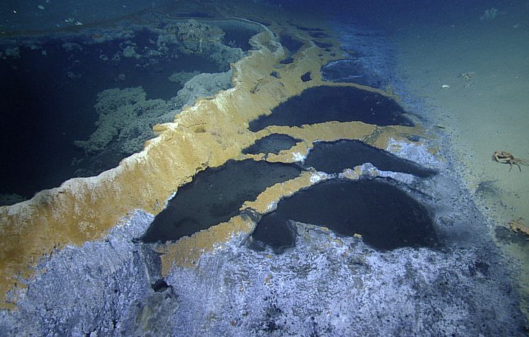 Inside the ‘Jacuzzi of Death’ where anything that DARES enter will be killed & left to disintegrate in toxic waters