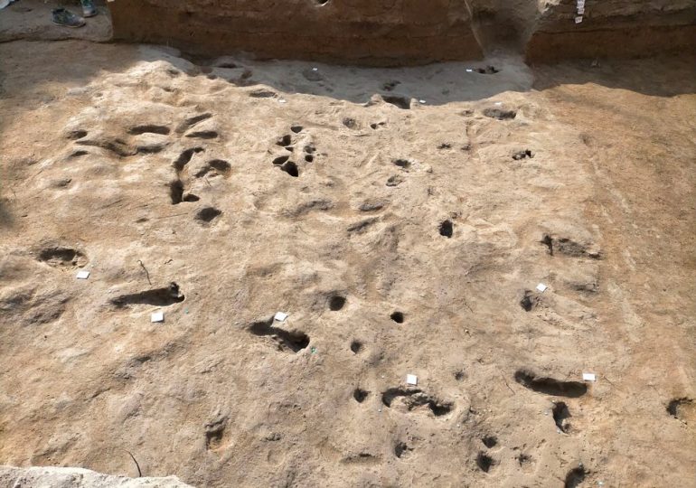 Ancient footprints of people who fled fiery Mount Vesuvius eruption 3,000 years ago unearthed by accident