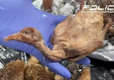 Chinese restaurant in Brit tourist hotspot caught serving street PIGEONS as ‘roasted duck’ to unsuspecting diners