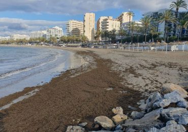 Brit hols hotspot beaches in Marbella facing emergency as they are SWAMPED by 2,500 tons of rotting stinking seaweed