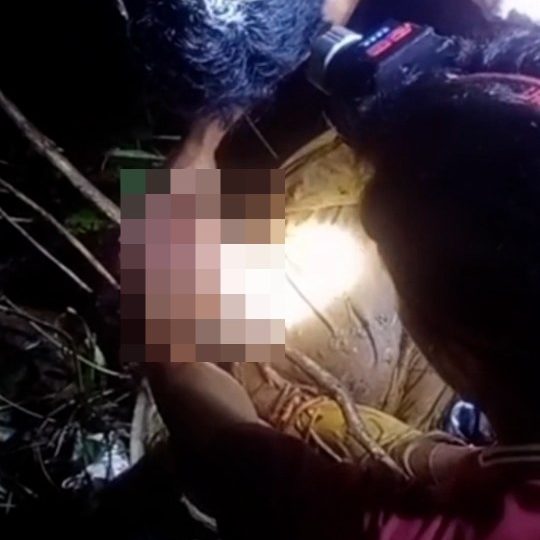 Gran, 55, found dead with head in the jaws of 23ft long python after she vanished while working in her garden