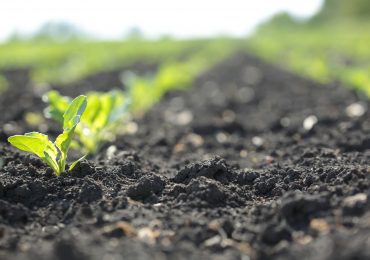 How XPrize Winner Mati Carbon Is Helping Farmers—And the Planet