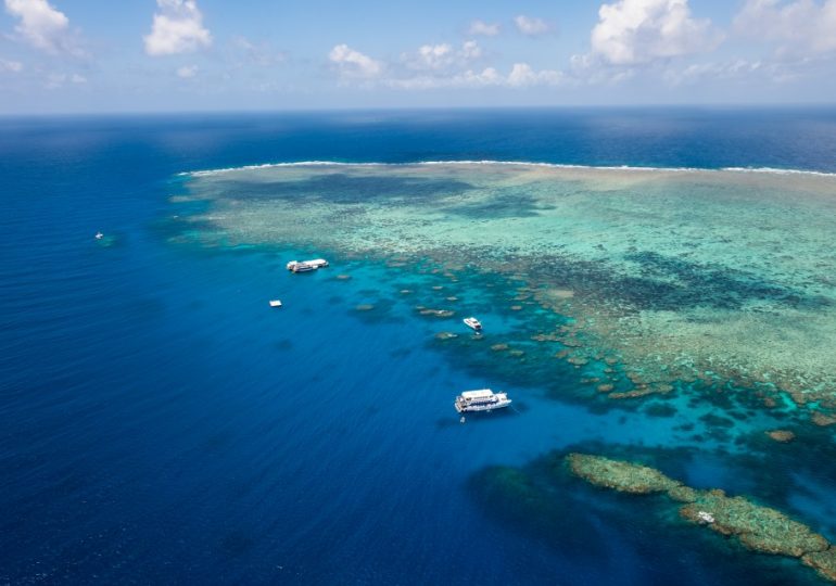 Brit man, 42, and teen, 17, drown in Australia after tourists are swept out to sea sparking helicopter rescue mission