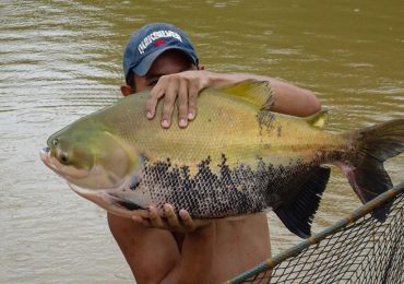 Popular beachside resort forced to SHUT DOWN after 94 attacks by massive piranha-like fish with terrifying ‘human teeth’