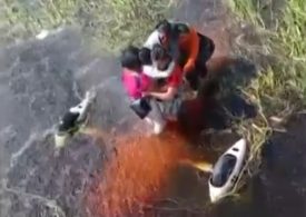 Terrified crash survivors cling to plane for 36 hours in alligator-infested swamp after emergency landing in Amazon