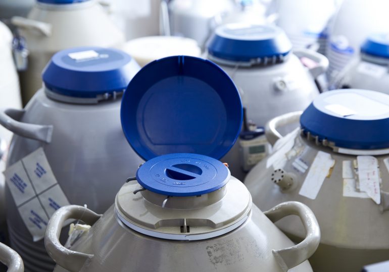 The Unexpected Grief of Discarding Your Frozen Eggs