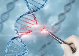 A Baby Receives the First Customized CRISPR Treatment