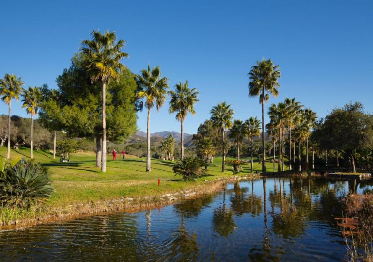Two holidaymakers injured after plunging buggy down 23ft ravine at Marbella golf club after smashing into barrier