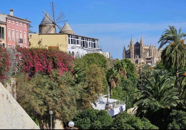 Brit woman, 39, plunges to her death from beauty spot on holiday island Majorca