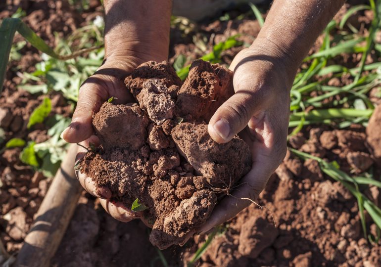 How Climate Change Affects Your Gut Health