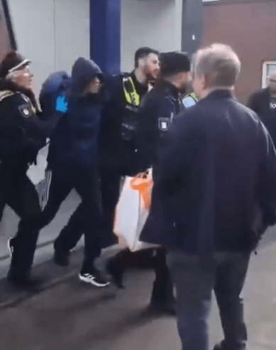 Moment Hamburg knifewoman is arrested after launching frenzied rampage at train station leaving at least 18 injured