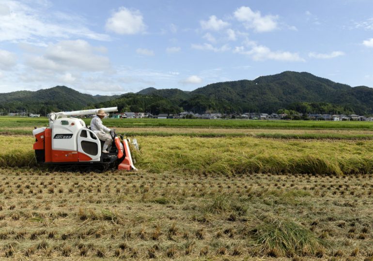 Why Rice Is a Sticking Point in U.S.-Japan Trade Talks