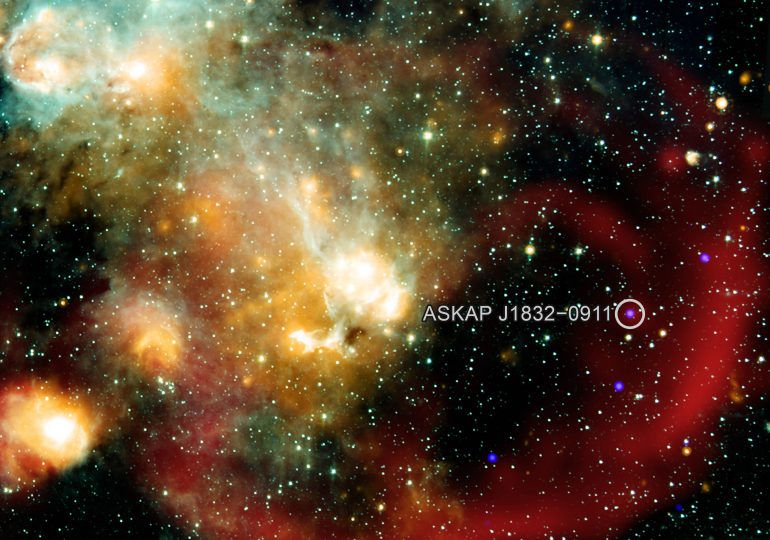 Scientists Are Stumped by Mysterious Pulsing ‘Star’