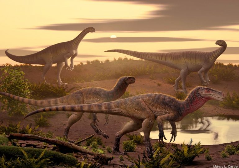 New species of dog-sized killer dinosaur that roamed Earth 220m years ago discovered – but its name isn’t too catchy