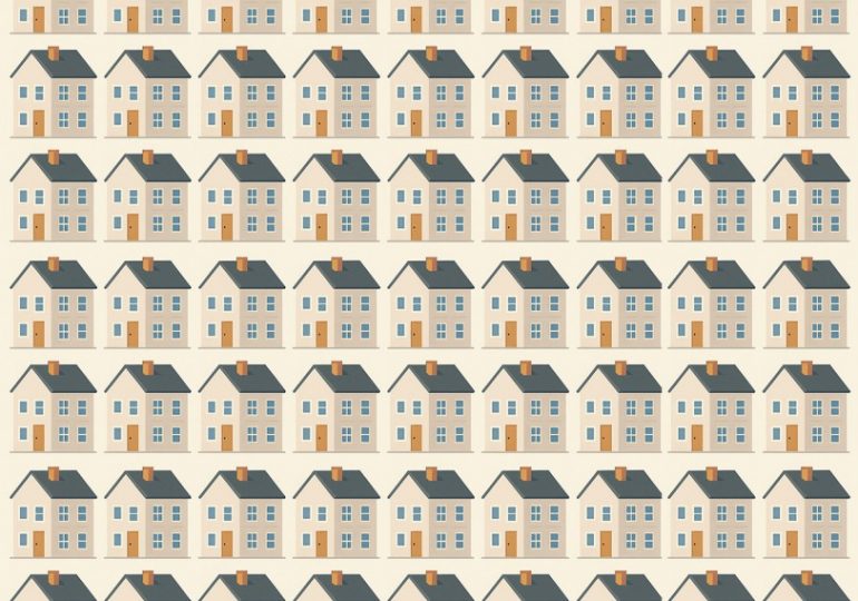 Everyone can see the newbuild rooftops – but can you spot the house that’s different in under 10 seconds?