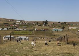 Mum dubbed ‘Warrior Woman’ after beating to death rapist who attacked daughter … & locals cheer as murder charge DROPPED