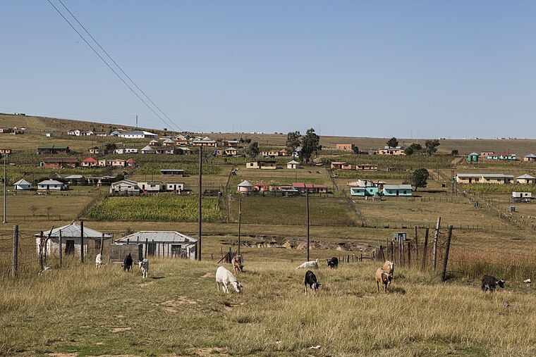 Mum dubbed ‘Warrior Woman’ after beating to death rapist who attacked daughter … & locals cheer as murder charge DROPPED