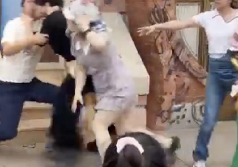 Shocking moment brutal Disneyland brawl breaks out between two families after row over queue cutting turns violent