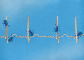 7 Surprising Symptoms of Lyme Disease