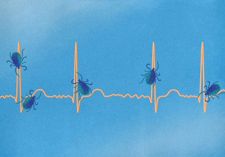 7 Surprising Symptoms of Lyme Disease