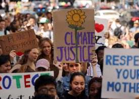 How to Manage Your Climate Guilt