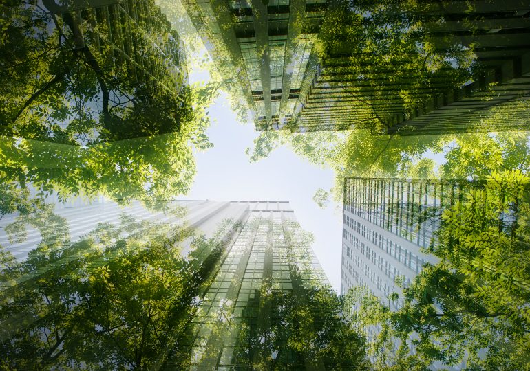 How TIME and Statista Determined the World’s Most Sustainable Companies of 2025