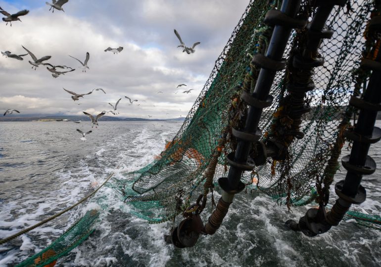 How AI Can Help Save Our Oceans