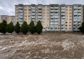 It’s Time For Leaders To Boost Their Climate Ambition As Costs Rise