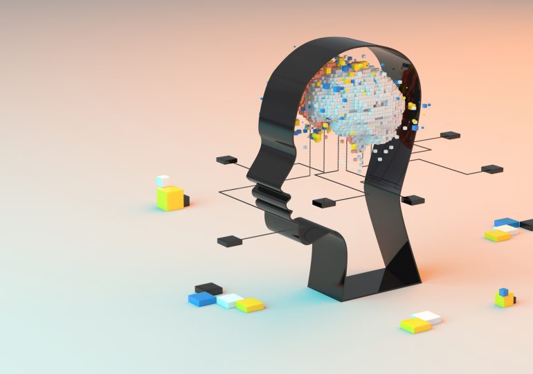 The Dangers of AI Personalization