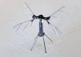 China unveils tiny terrifying mosquito-sized drone to be used for spying & ‘special missions’ as they sneak into homes