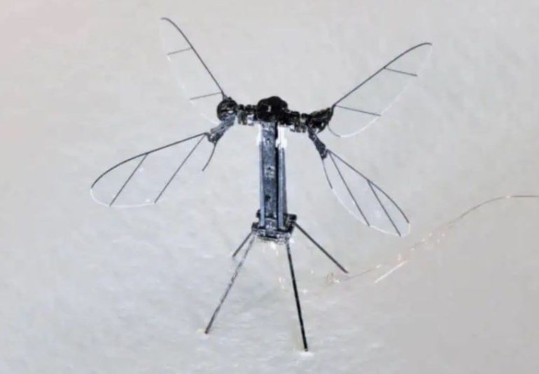 China unveils tiny terrifying mosquito-sized drone to be used for spying & ‘special missions’ as they sneak into homes