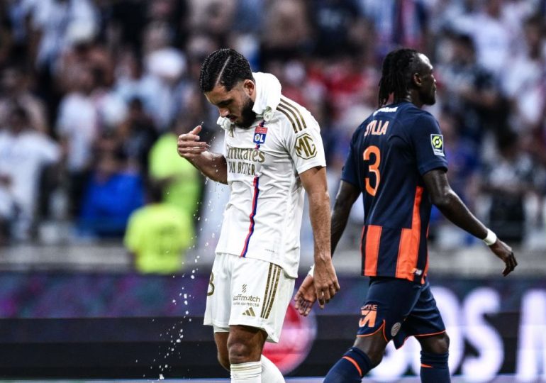 This New Tool Will Help Sports Teams Cut Their Carbon Footprint