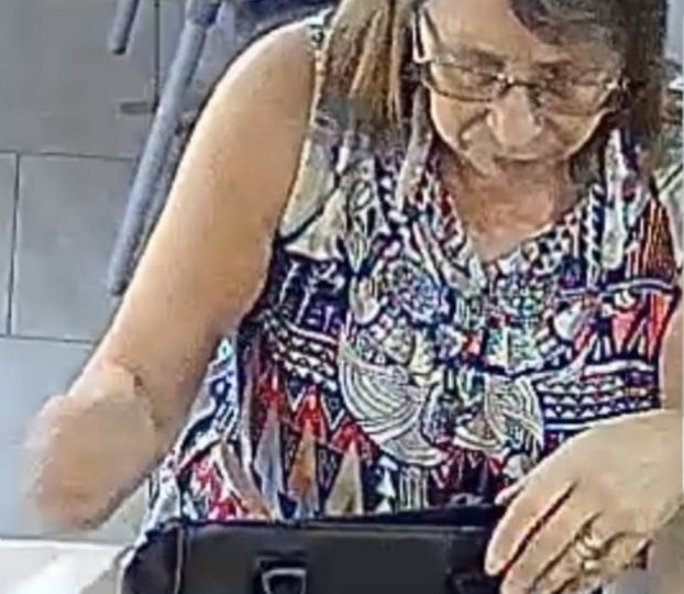 Frantic search for Brit Janet Fison who vanished on Costa Blanca 17 DAYS ago as cops deploy drones, dogs and helicopters