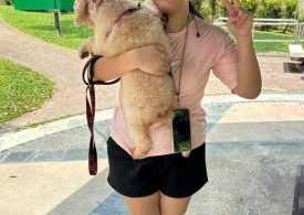 Our Brit daughter, 15, was killed by boat propeller while snorkelling in Maldives…we’re forced to investigate ourselves