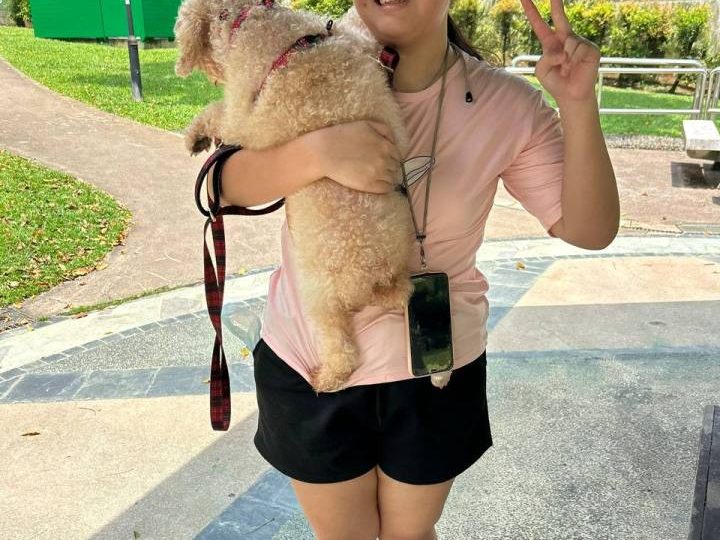 Our Brit daughter, 15, was killed by boat propeller while snorkelling in Maldives…we’re forced to investigate ourselves