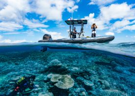 The Ocean Still Holds Mysteries. That’s Why We Must Save It