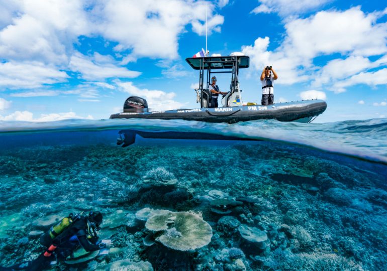 The Ocean Still Holds Mysteries. That’s Why We Must Save It