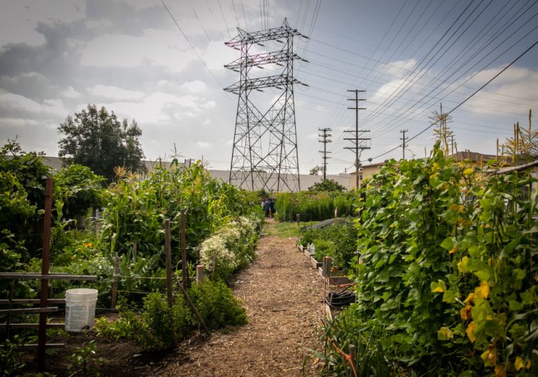 We’re Looking For Climate Solutions in the Wrong Places