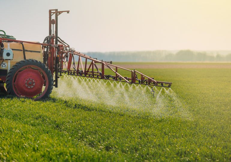 Are Pesticides in Your Food Harmful?