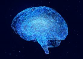 Your Brain Reveals a Lot About Your Age