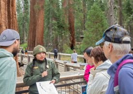 How the National Park System Is Faring Under the Trump Administration