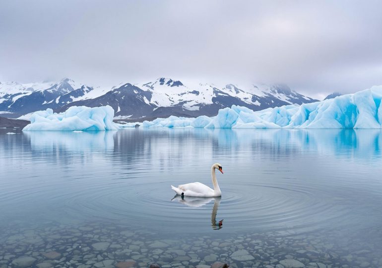 This New AI Tool Wants to Work With Filmmakers—Not Replace Them