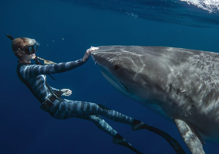 “Shark Whisperer” Villainizes Native Hawaiians Like Me