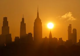 Living With Extreme Heat? These Cities Are Taking Action