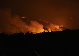 Devastating wildfires spread in Turkey leaving two dead & forcing thousands to evacuate as city’s mayor pleads for help
