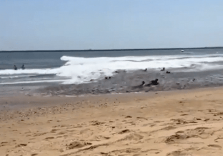Moment ‘mini-tsunami’ sweeps SIDEWAYS across tourist beach injuring 8 injured as freak wave drags sunbathers over rocks