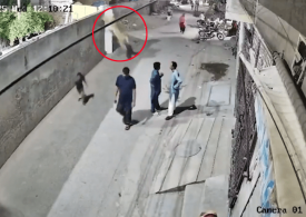 Terrifying moment pet LION leaps out of garden and mauls passerby woman – & owner’s reaction is almost as shocking