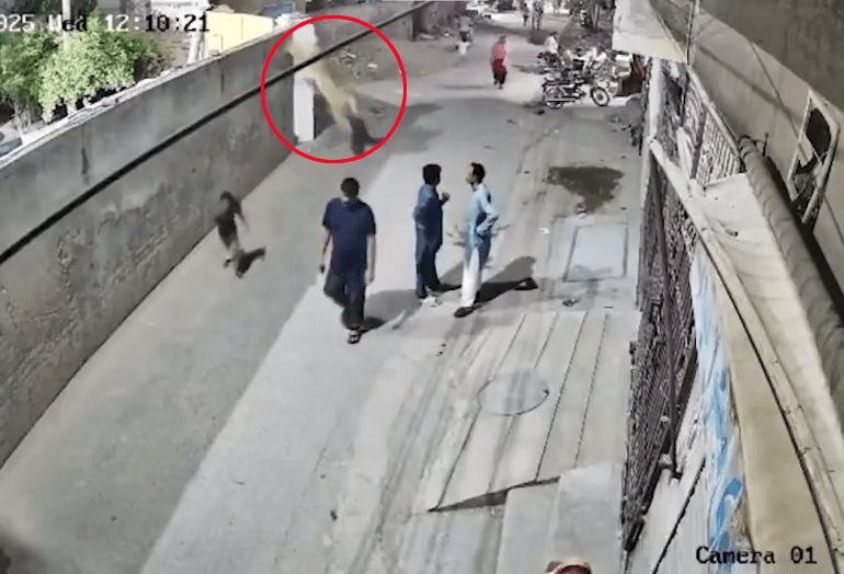 Terrifying moment pet LION leaps out of garden and mauls passerby woman – & owner’s reaction is almost as shocking